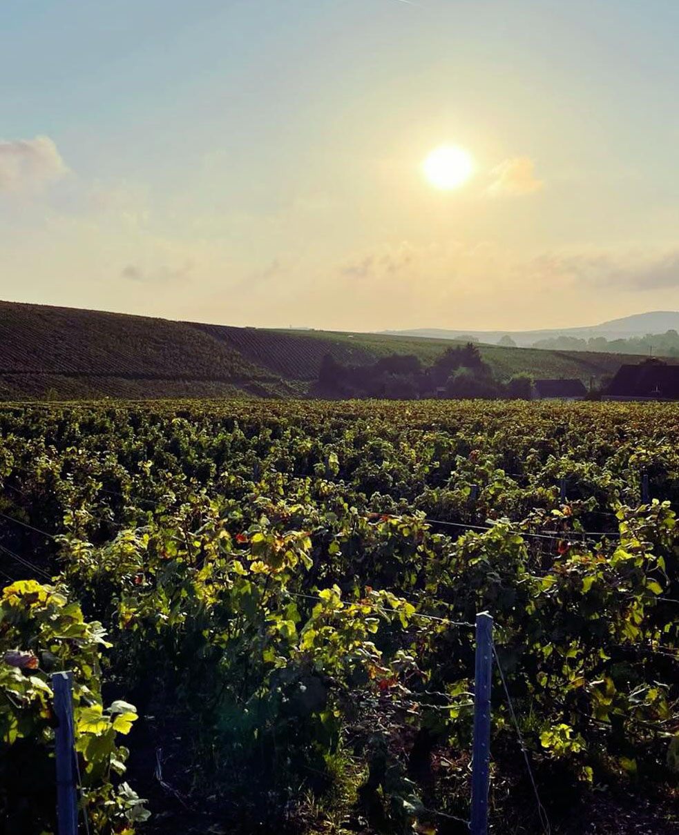 473192116_18470791408064495_9166830618773916984_n