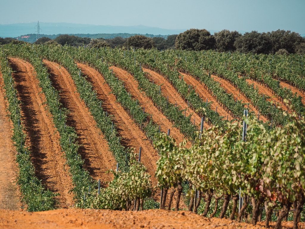 48786769068_79ae2f9a3e_b