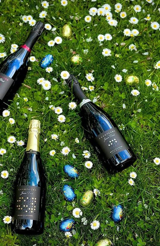 491437192_18488610730064495_5735838081006966915_n