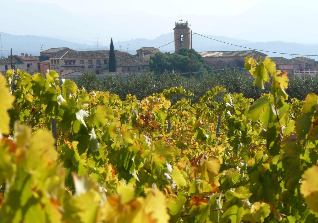 Bodega-de-M-WEM-scaled-p05x7sov9sdt44m42asq3wtijhq64t5v2ydcqttstc