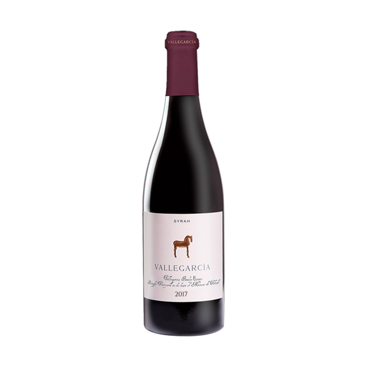 Vallegarcía Syrah