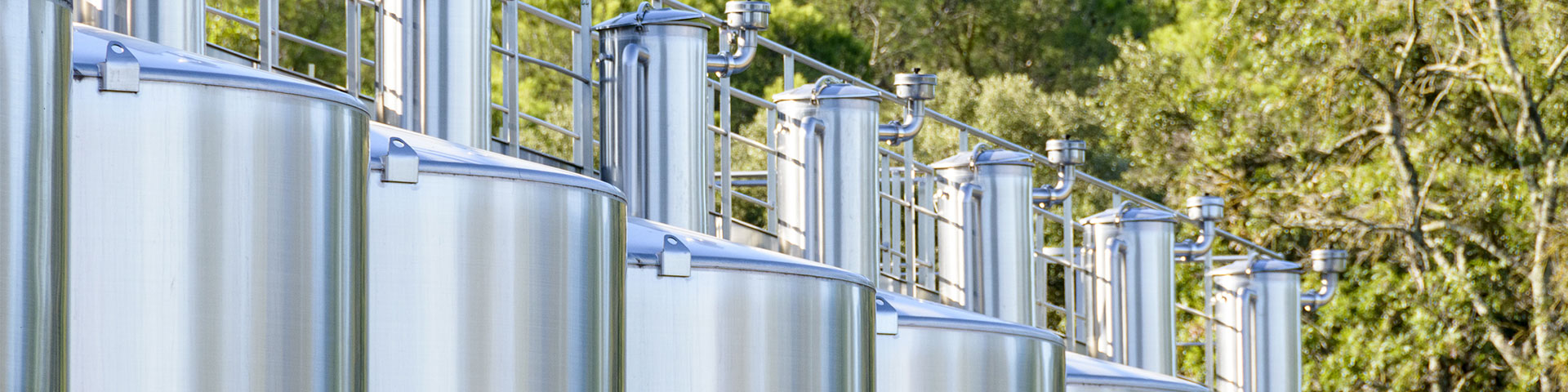 art-du-rose1.d3e539ee