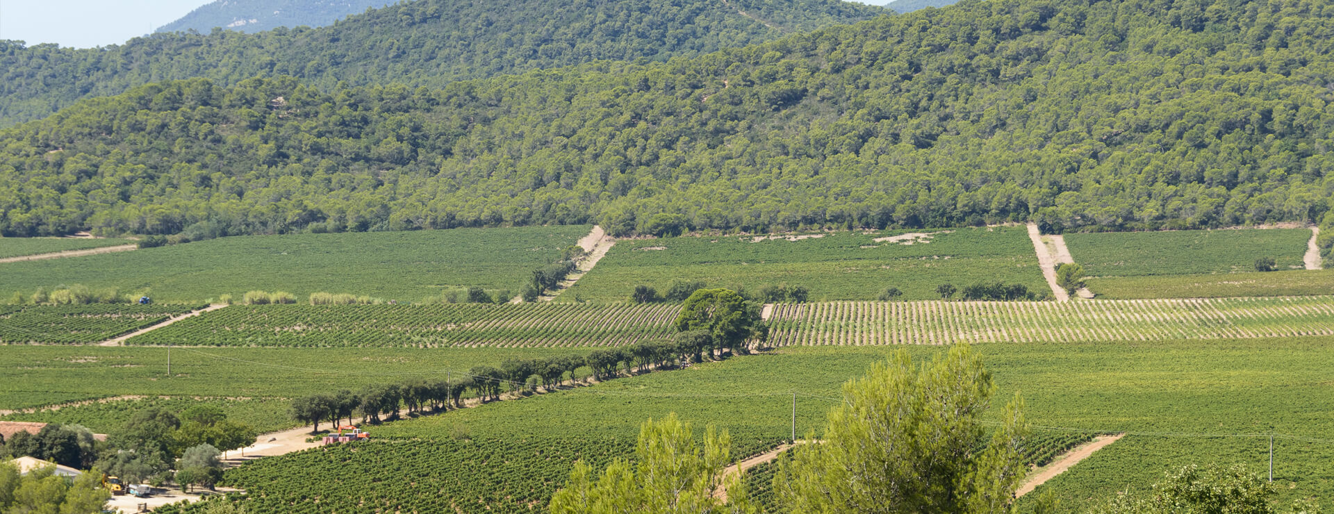 header-domaine.abb2ae17