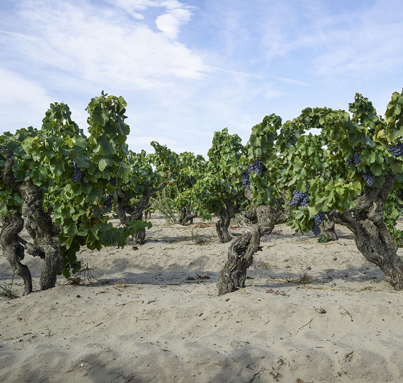 patrimoine2.5e90df3a